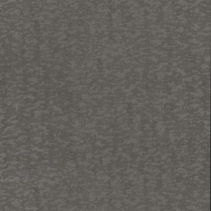 Weathered Cypress Wallpaper