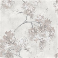 Weeping Cherry Tree Blossom P & S Wallpaper