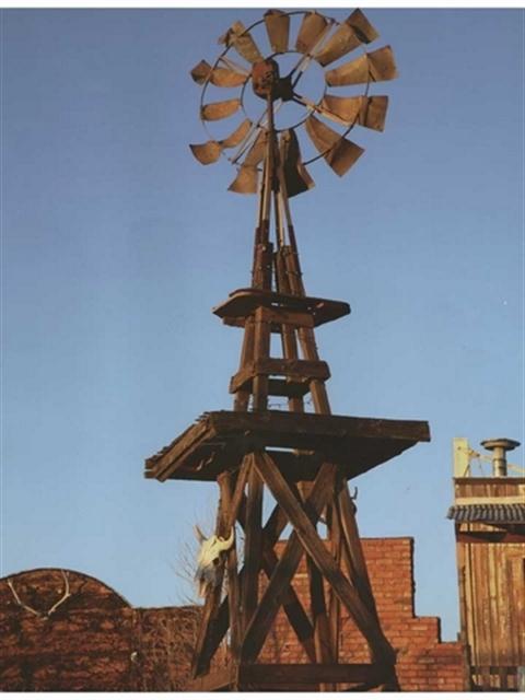 Western Windmill Wall Mural