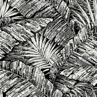 White & Black Palm Cove Toile Wallpaper