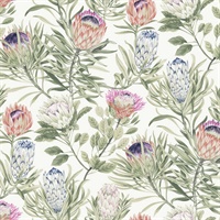 White & Fuchsia Protea Wallpaper
