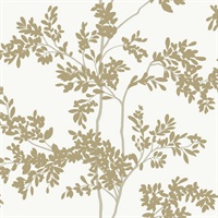 White & Gold Lunaria Silhouette Wallpaper