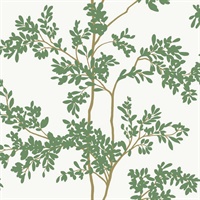 White & Green Lunaria Silhouette Wallpaper