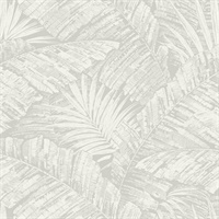 White & Grey Palm Cove Toile Wallpaper