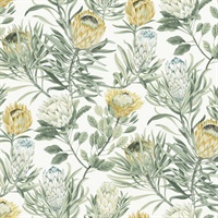 White & Yellow Protea Wallpaper