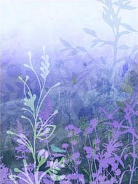 Wildflower | H2063PM | Eco Value Murals | Wall Murals