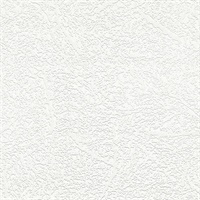 Willie White Textured Spatter Paintable Wallpaper