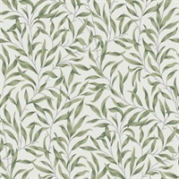 Willow Leaves Wallpaper