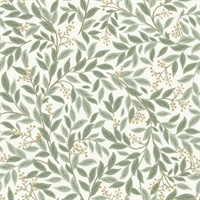 Willowberry Sage Wallpaper