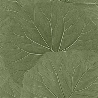 Xylem Olive Large Leaves Wallpaper