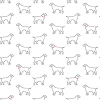 Yoop White Dog Wallpaper