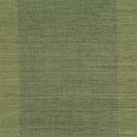 Yu Jie Dark Green Grasscloth Wallpaper